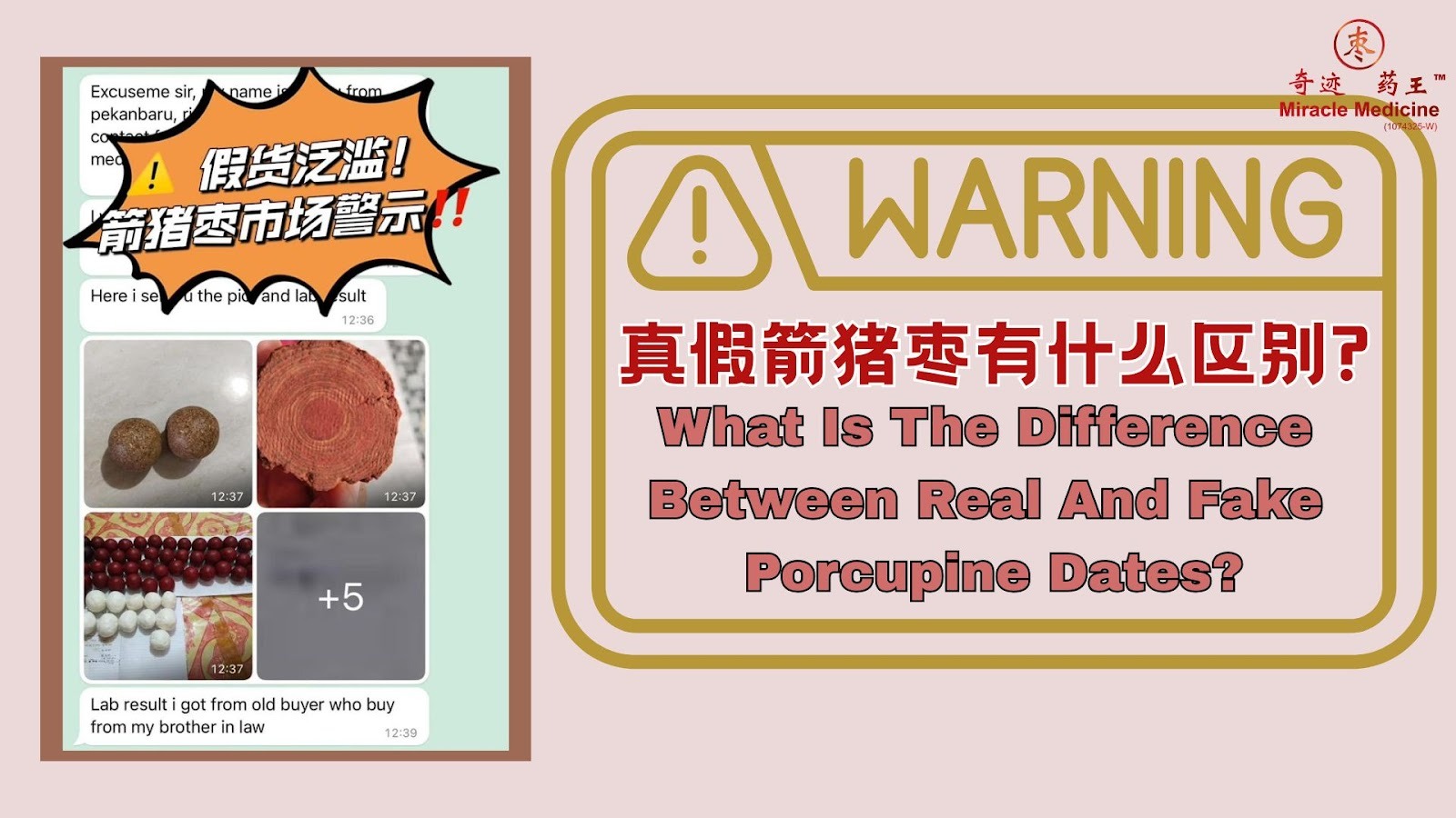 porcupine-dates-authentic-vs-fake