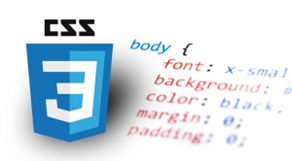 Cascading Style Sheets (CSS) is a stylesheet language used to describe the presentation of a document written in HTML