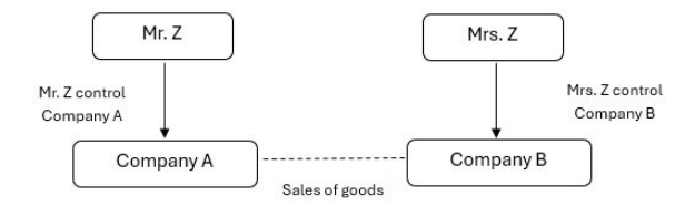 transfer pricing documentation example