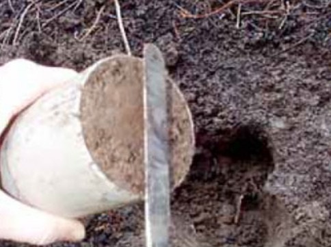 Bulk Density Test