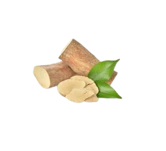 Tongkat Ali Extract