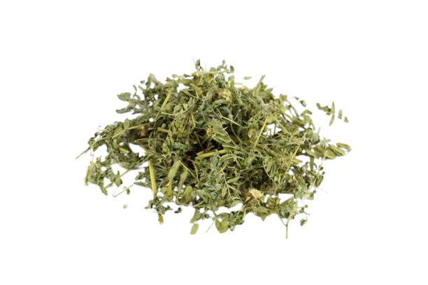Tribulus Extract