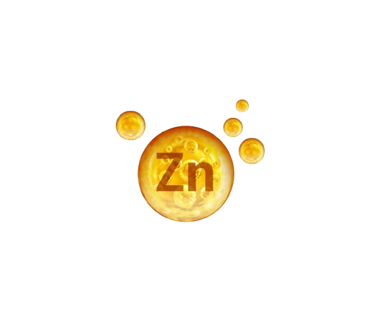 Zinc & Selenium