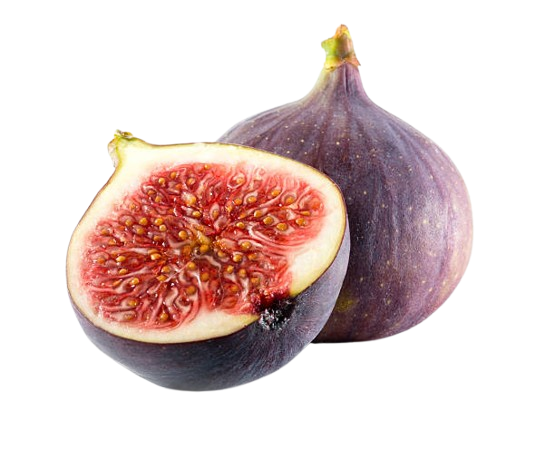 Fig