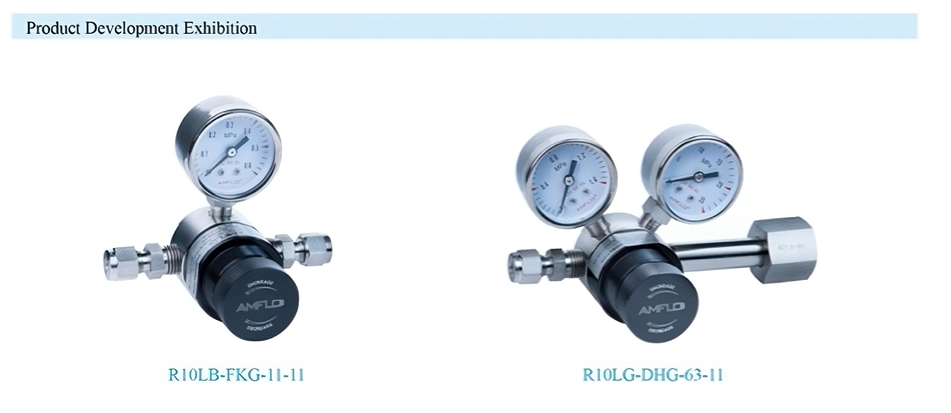 R10 PRESSURE GAS REGULATOR SUPPLIER MALAYSIA