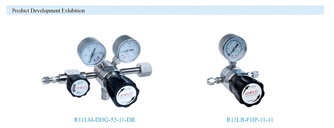 R11 PRESSURE GAS REGULATOR SUPPLIER MALAYSIA