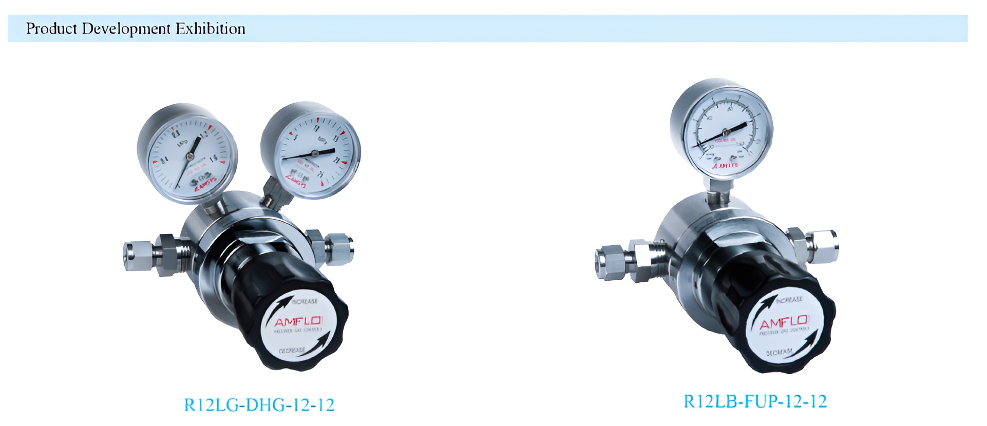 R12 Medium Flow Gas Pressure Regulator Supplier Malaysia - 1