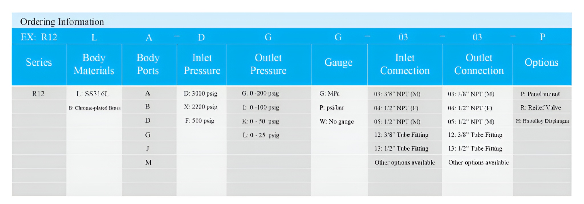 R12 Medium Flow Gas Pressure Regulator