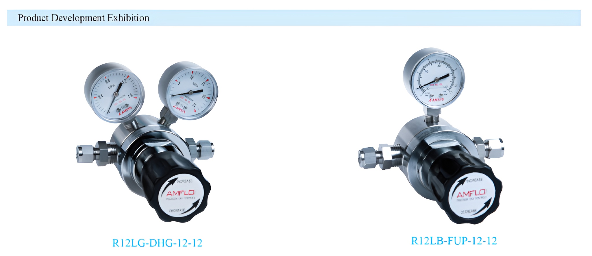 R13 High Flow Gas Pressure Regulator Supplier Malaysia - 1