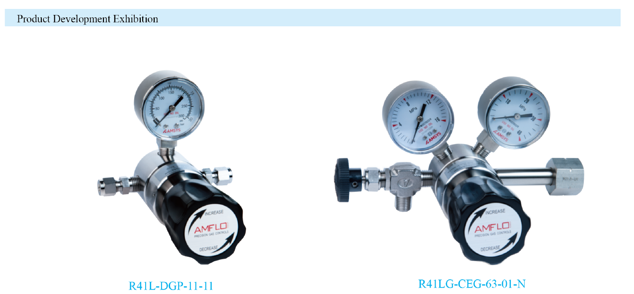 R16 Series Single Stage Low Flow Gas Pressure Regulator Supplier Malaysia - 1