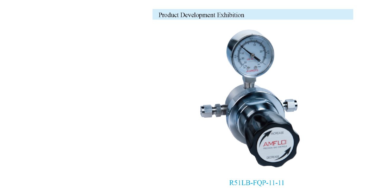 R51 Absolute Pressure Gas Pressure Regulator Supplier Malaysia 1