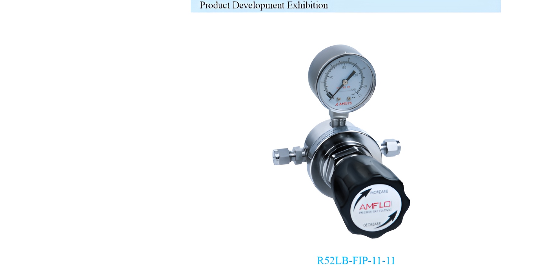 R52 SERIES SINGLE STAGE LOW FLOW GAS PRESSURE REGULATOR SUPPLIER MALAYSIA -1
