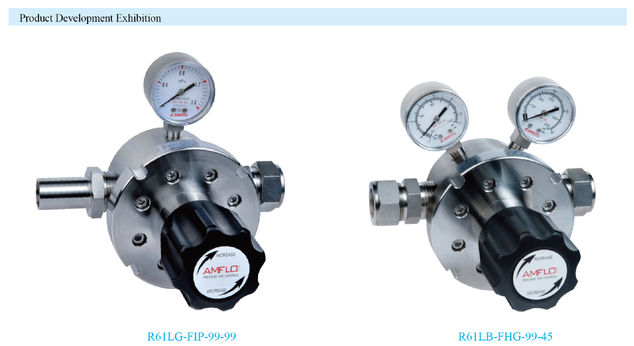 R61 High Flow Gas Pressure Regulator Supplier Malaysia 1