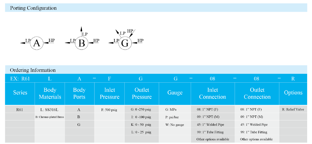 R61 High Flow Gas Pressure Regulator Supplier Malaysia 3