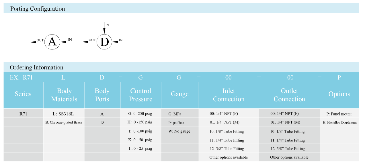 R71 Low Pressure Back Regulator Supplier Malaysia 3