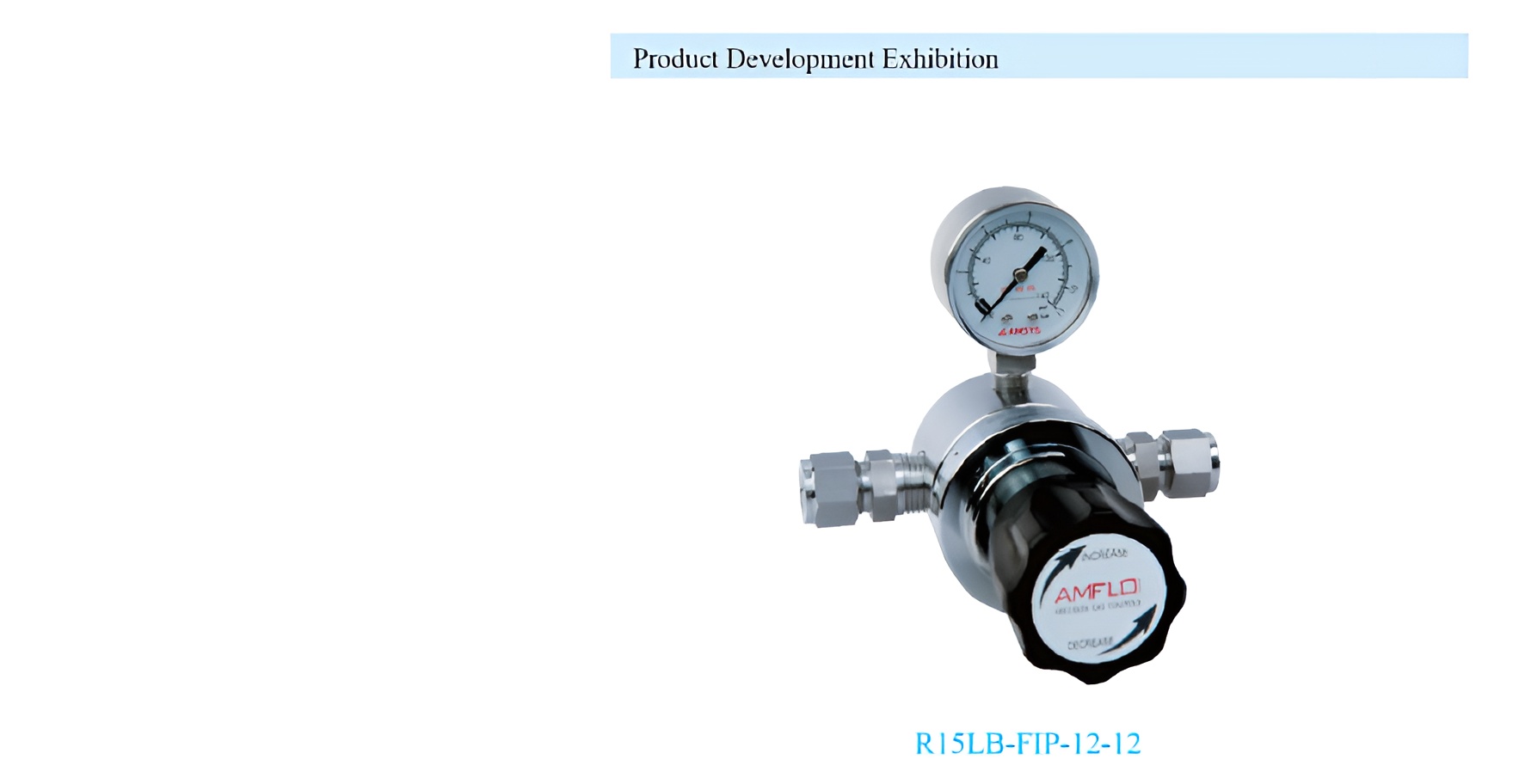 R15 High Flow Gas Pressure Regulator Supplier Malaysia - 1