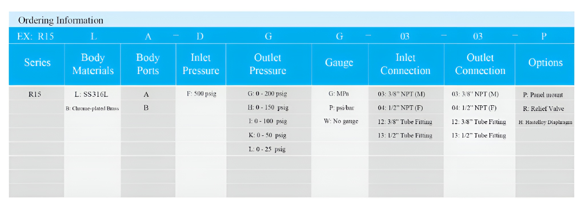 R15 Series High Flow Gas Pressure Regulator Supplier Malaysia