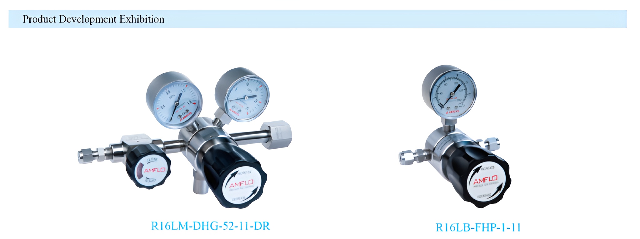 R16 Series Single Stage Low Flow Gas Pressure Regulator Supplier Malaysia - 1