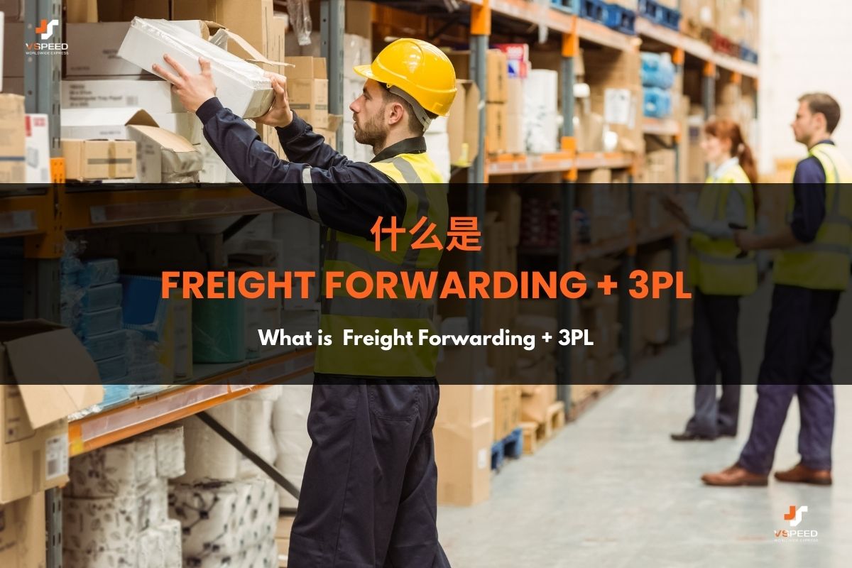 Freight Forwarding /FCL  LCL           3PL 
