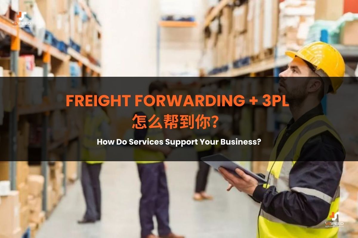          Shipping & Delivery   /         