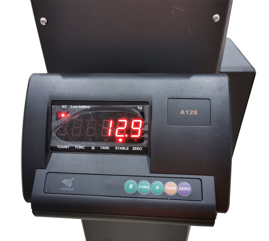 Weighing Scale of X0SE Wrapping Machine