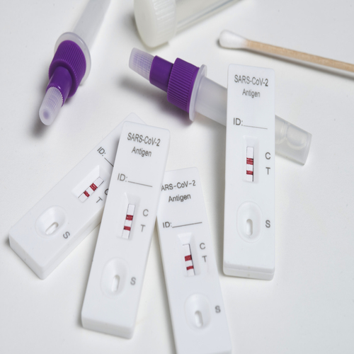 Dengue Rapid Test