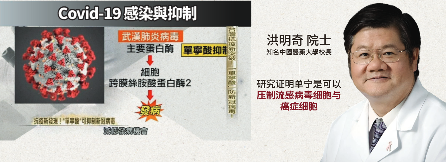 图1 图1