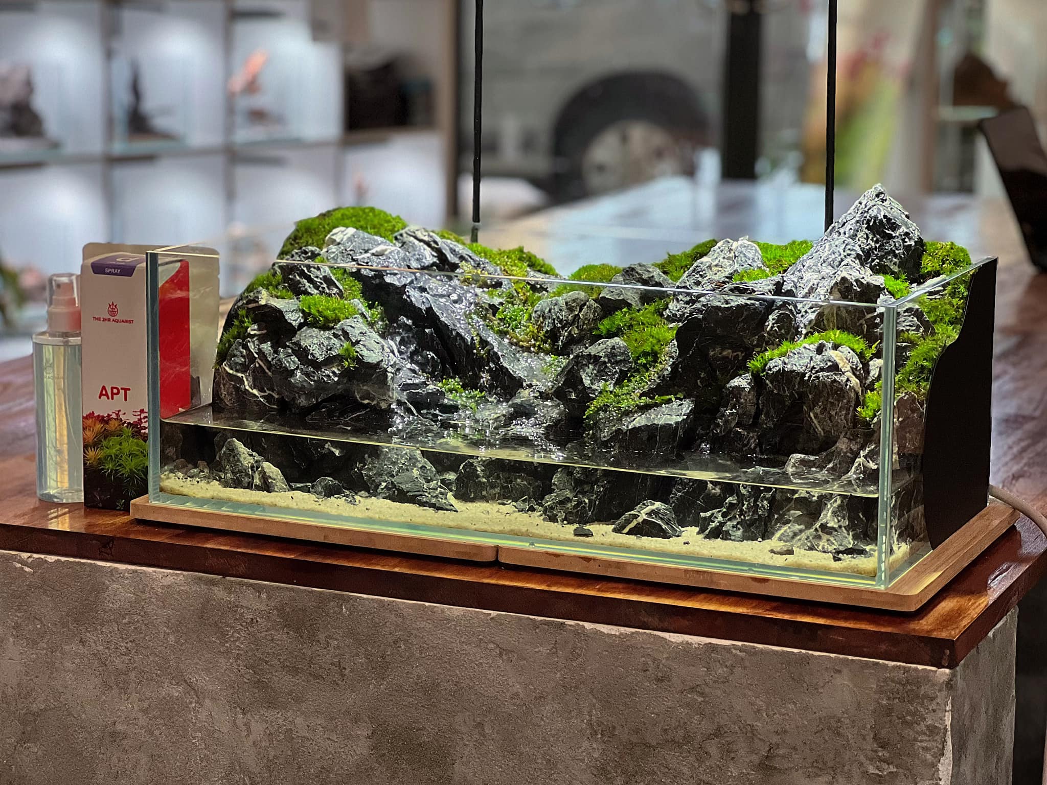 Betta House
