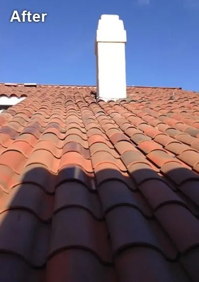 Roof Repair After
