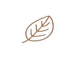 Green Coffee Extract