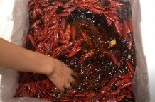 Chongqing Hotpot Foot Bath