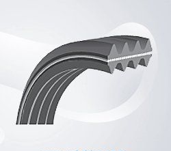 Double Sided Poly-Ribbed Belt