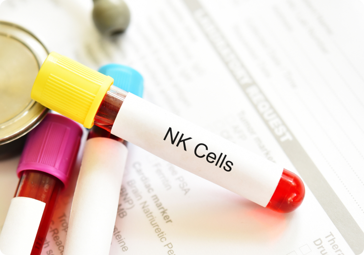 Natural Killer Cells