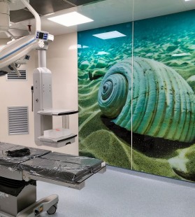 Modular Operating Theatre