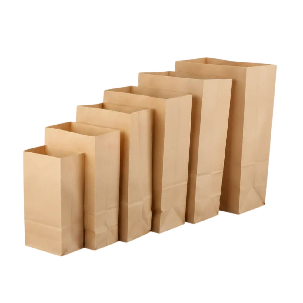 Paper Bags