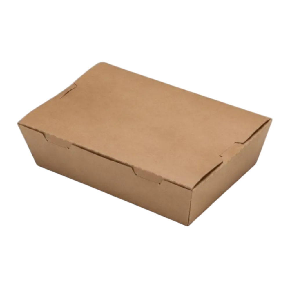 Paper Lunch Box