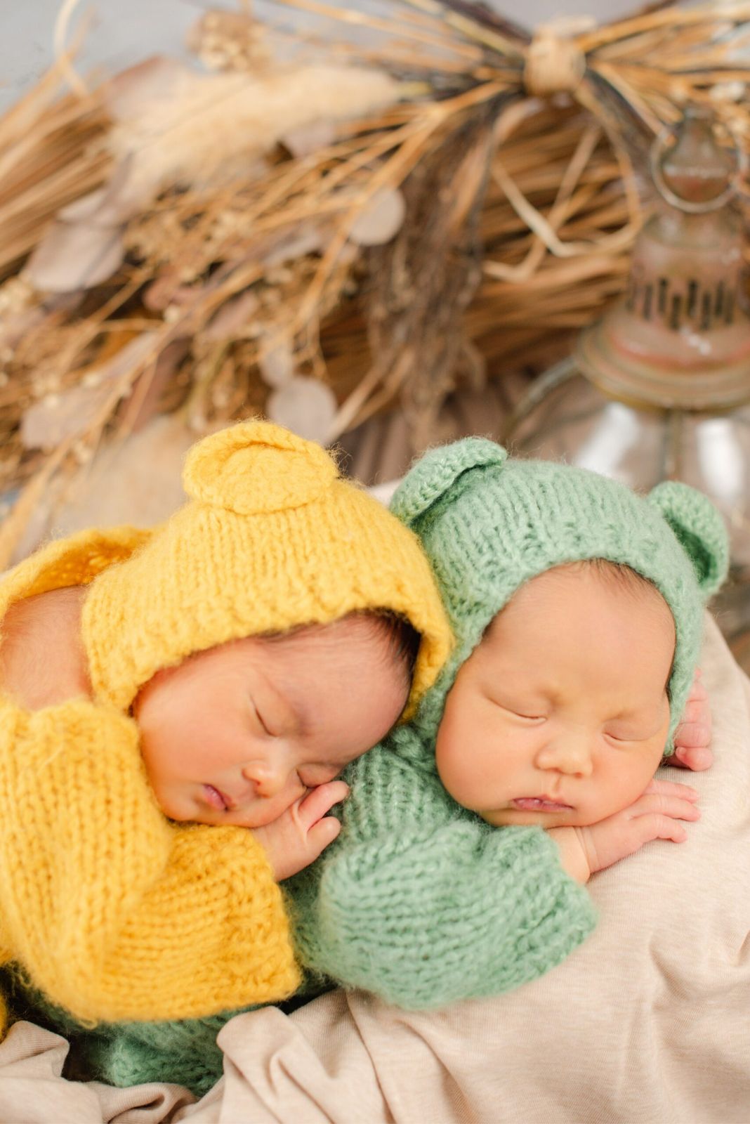 Newborn twins portrait