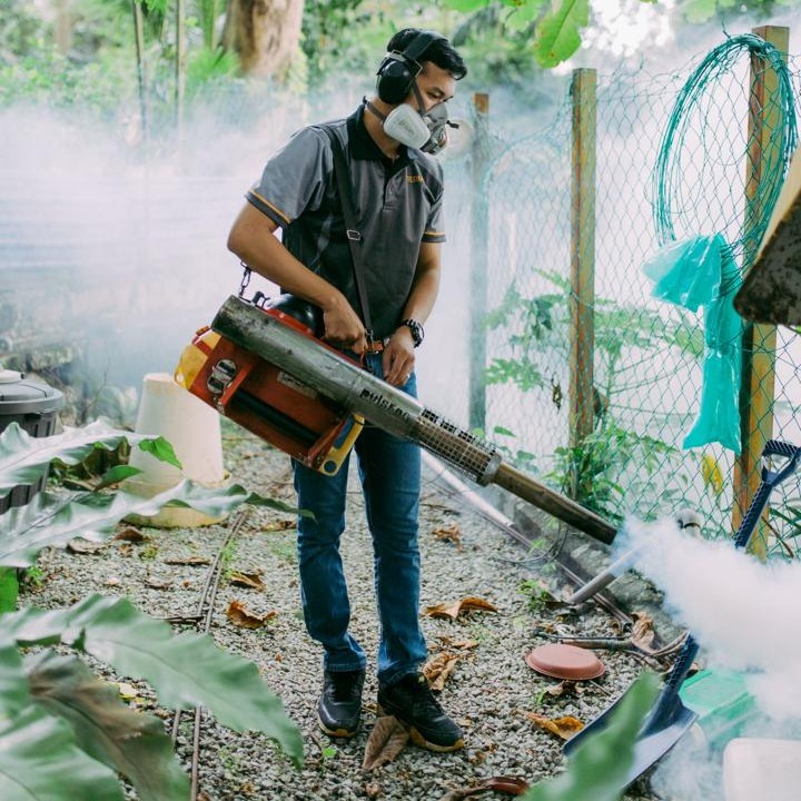 thermal fogging