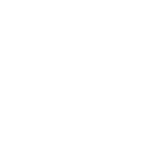 Norway Rat