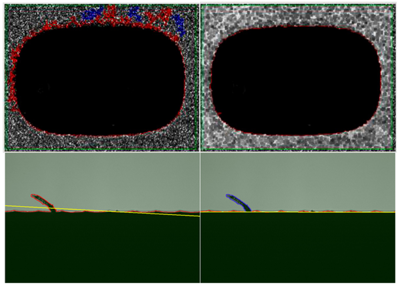 WinWerth Software 6